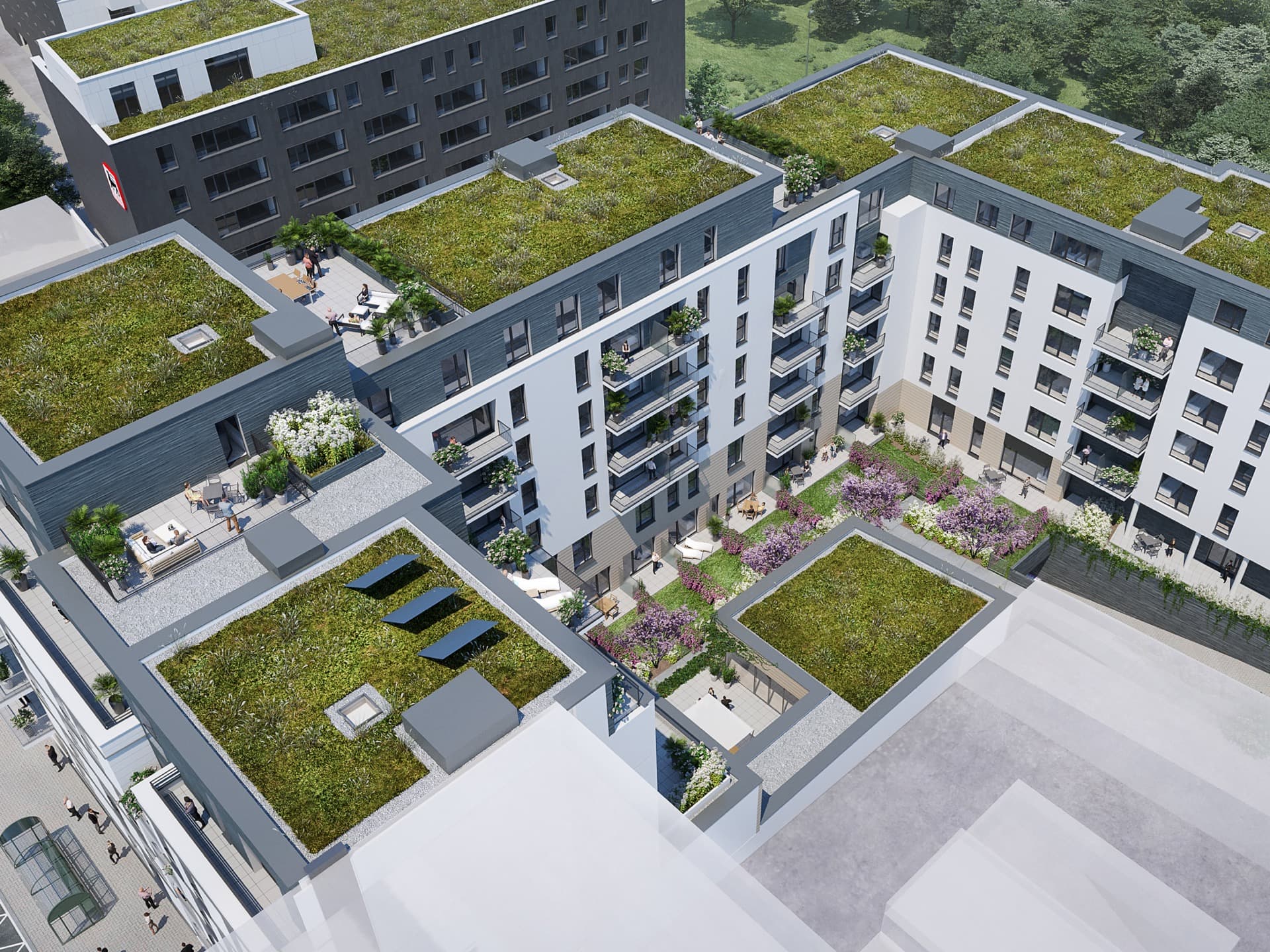 bureaux_livingstone02.jpeg