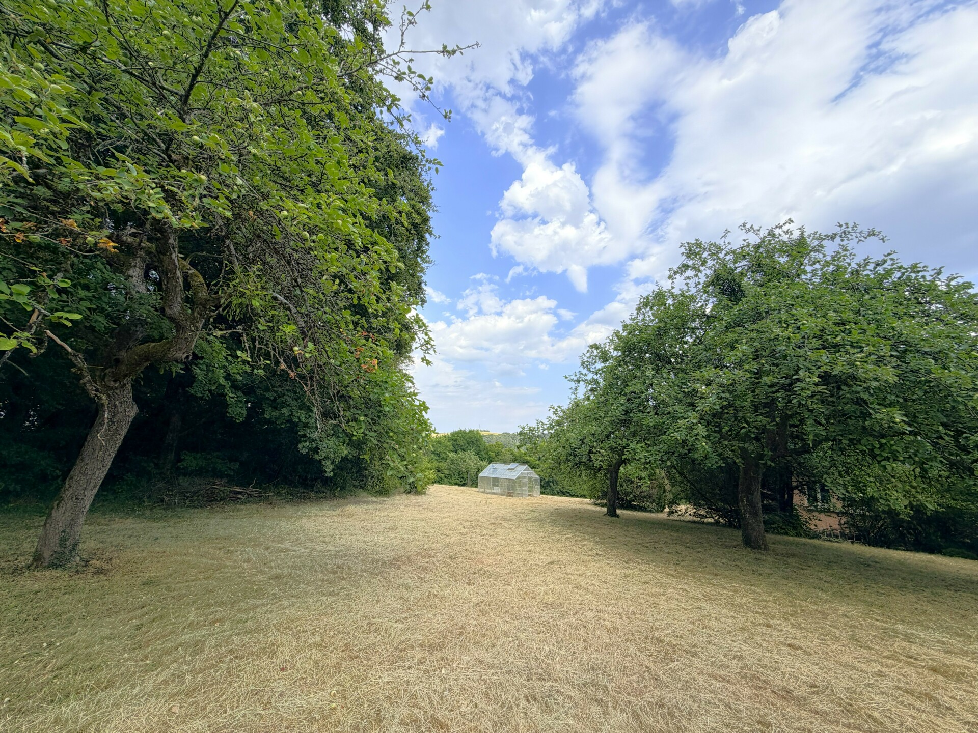 jardin.jpg